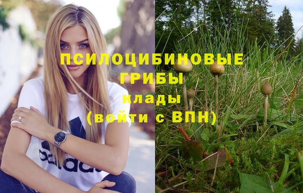 соль курить ск Армянск