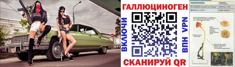 Галлюциногенные грибы Magic Shrooms  где можно купить наркотик  Чкаловск 