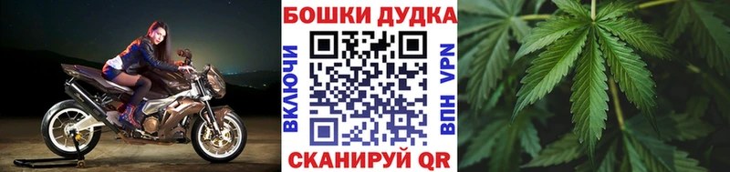 закладка  mega рабочий сайт  Канабис индика  Чкаловск 